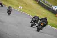 Lower Group Yellow Bikes